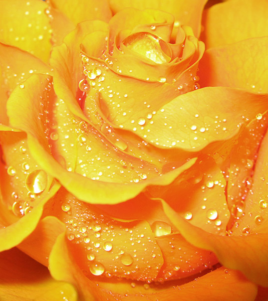 77125144_3303834_rk_18