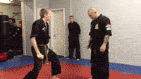 funny_gifs_catsmob_com_02157_009