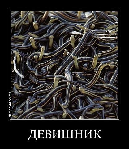 девишник