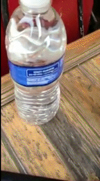 1356552175_169679604