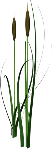 74279722_0_53192_9cebffa9_XL