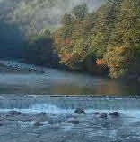 1b3d381a996aabcd7d46b442d6a61adf