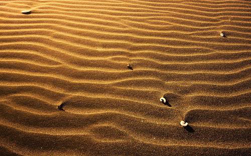 sand1-2
