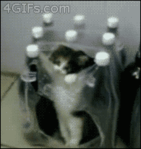 tumblr_mgnlplpuwA1qdlh1io1_250