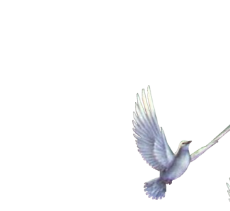 0_6f5d9_4903b17_XL