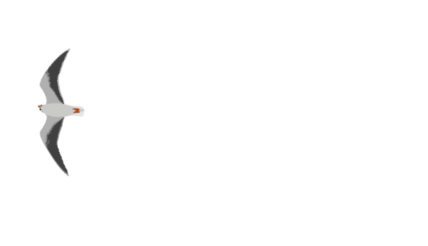 чайка 3