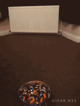 1358418981_696477516