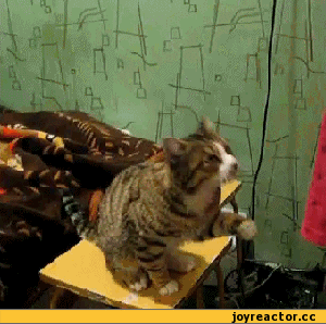 ну погладь