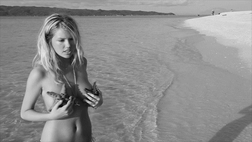 сисьок ракушка3