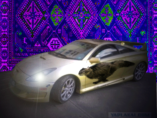 post-27-12592277428937