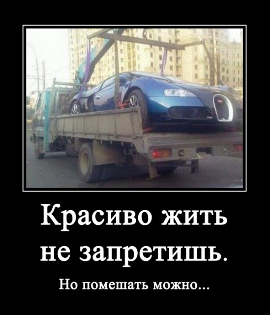 Дуэль демов до 29 января 2013