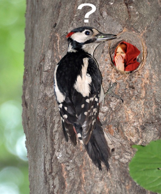 Заплутала_5