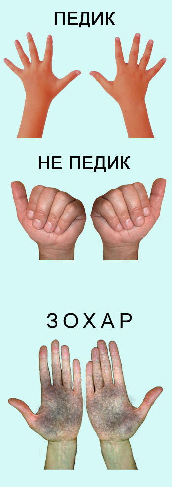 ruki_palevo
