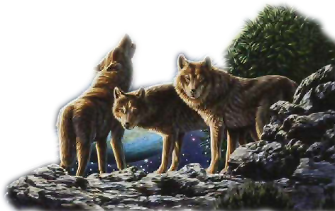 0_5091d_6b02a8df_L