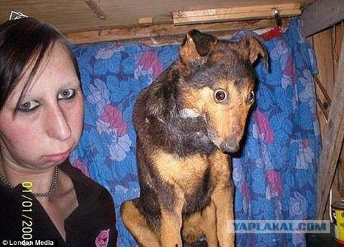 FunnyDog