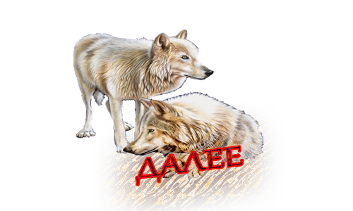 Без имени-1