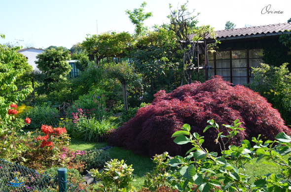 b250af19956504da552c92072b9_prev