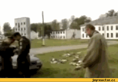 Fungif_22_yapfiles.ru