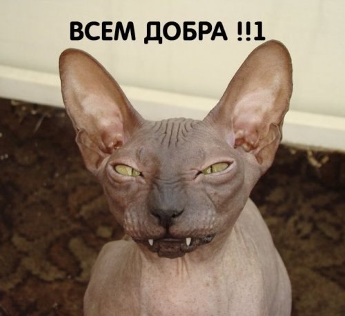 dobra