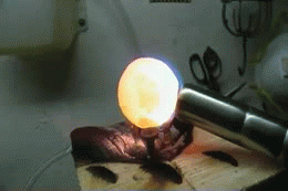 1360417196_2024317159