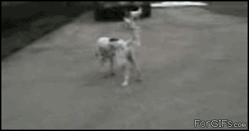 00