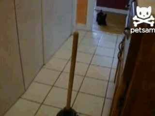 1361509365_1830688661