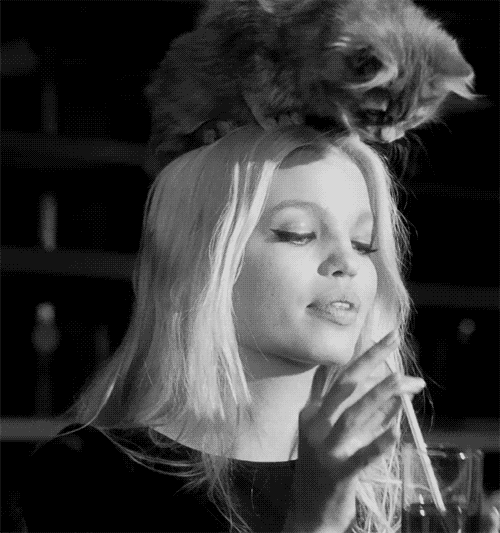 gifs_01