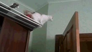tumblr_mijm1wG6qO1ra9bmmo1_400