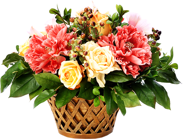 59677228_1275230260_FL31