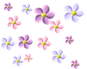 цветочки