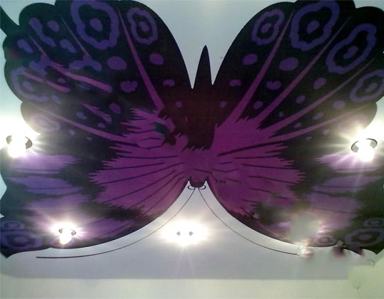 natyazhnoj-potolok-fotopechat-babochka