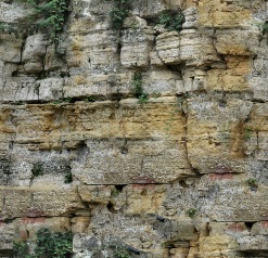 9312e86adcf1_yapfiles.ru