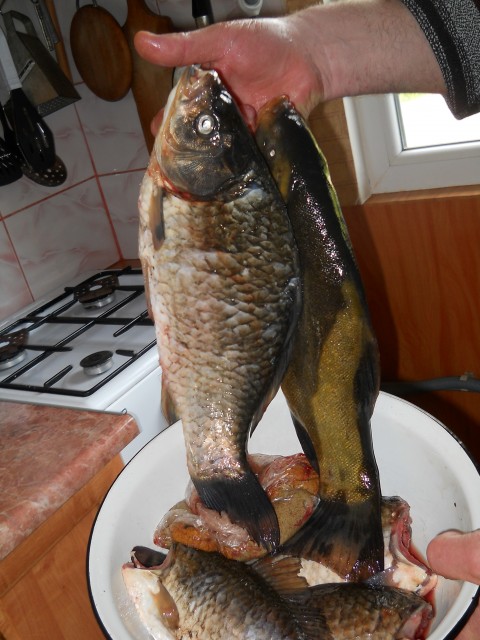 Изображение 488