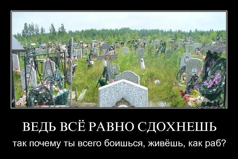 Почему жить все хуже. Смерть не страшна. Страшно жить. Страшно жить в России демотиваторы.
