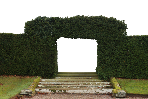 0328095213852_46_grannysatticstockHedgepngpersonalus