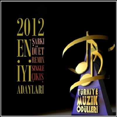 Türkiye Müzik Ödülleri (2013)