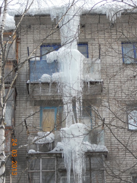 DSCN0809