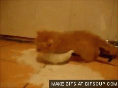1364765521_1607540883