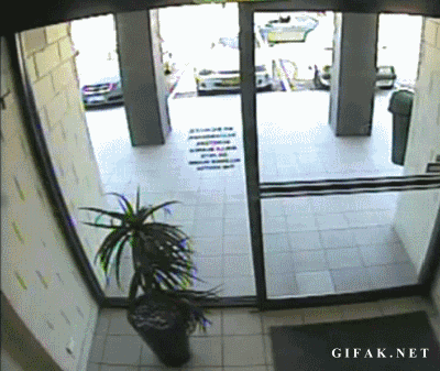 1364821650_1799433004