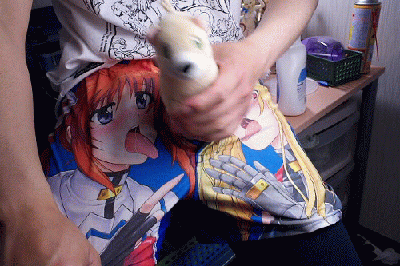 Fungif_10