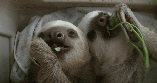 gifs_13