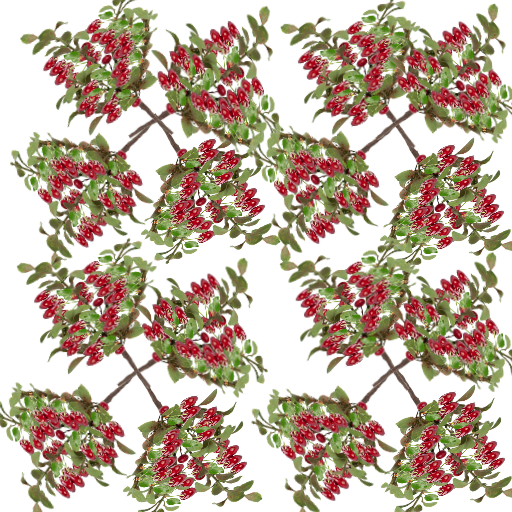 вишня