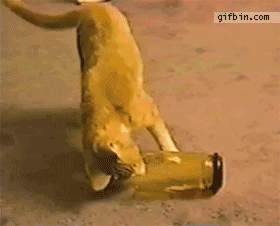 гифки-640095