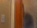 m_aa23bf8312
