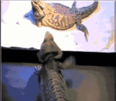 гифки-весна-пришла-629408