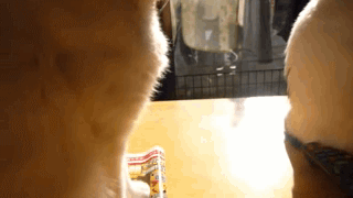 1358620513_-(www.votrube.ru)12