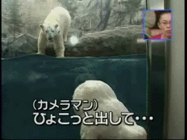1363933334_gifs_11