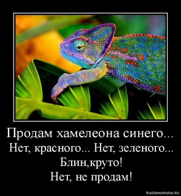 хамелион