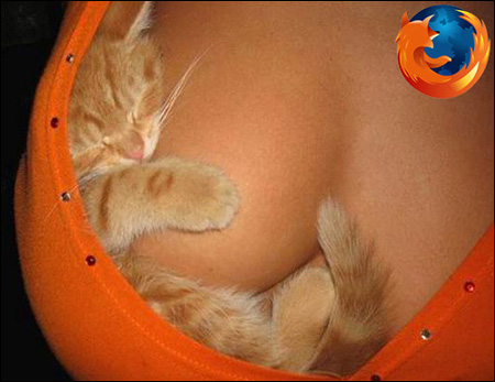 firefox_boobs