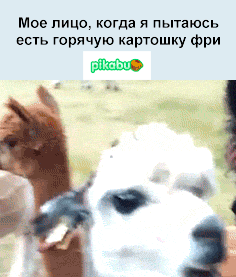 1363524754_831868922